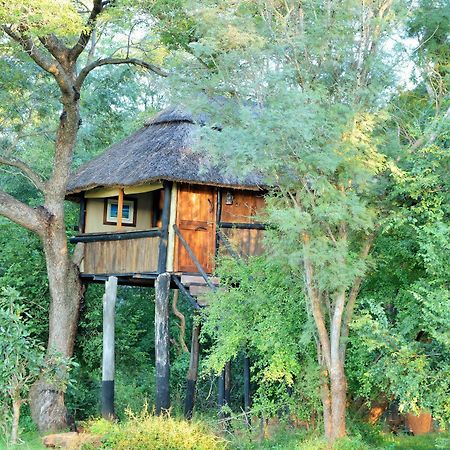 Ivory Lodge Dete Exterior foto