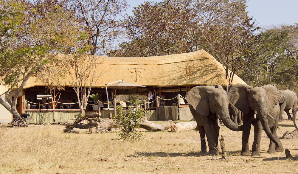 Ivory Lodge Dete Exterior foto